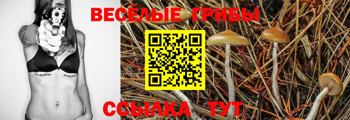 Галлюциногенные грибы мицелий Орёл