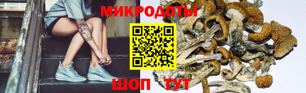 Орёл  Псилоцибиновые грибы мицелий  Вход с VPN 